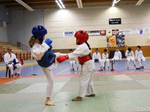coupe du samourai 2013