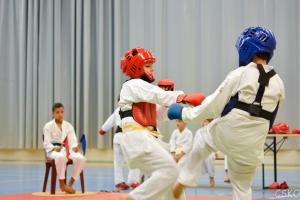samourai_2013-122.jpg