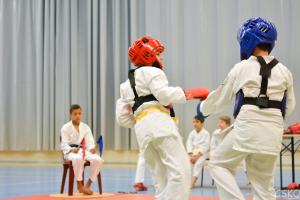 samourai_2013-123.jpg