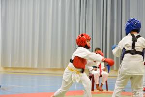 samourai_2013-124.jpg