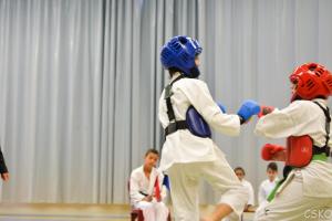samourai_2013-140.jpg
