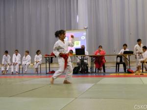 samourai_2013-195.jpg