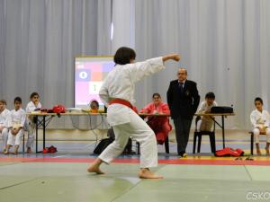 samourai_2013-233.jpg