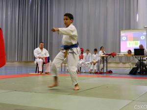 samourai_2013-238.jpg