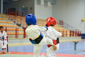 samourai_2013-283.jpg