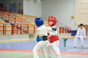 samourai_2013-284.jpg
