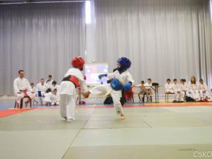 samourai_2013-289.jpg
