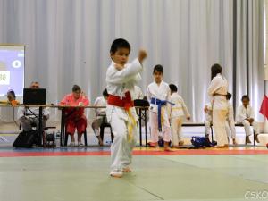 samourai_2013-325.jpg