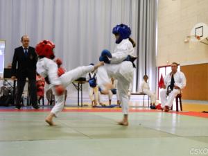samourai_2013-346.jpg