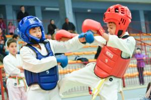 samourai_2013-357.jpg