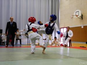 samourai_2013-360.jpg