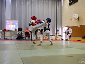 samourai_2013-361.jpg