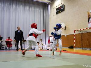 samourai_2013-370.jpg