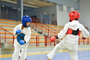 samourai_2013-372.jpg