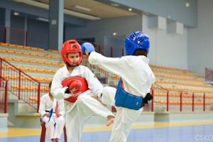 samourai_2013-375.jpg