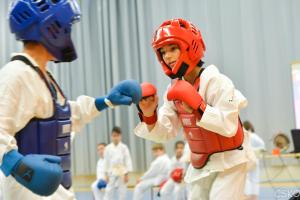 samourai_2013-398.jpg
