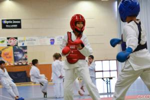 samourai_2013-400.jpg