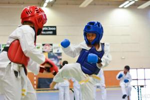 samourai_2013-406.jpg