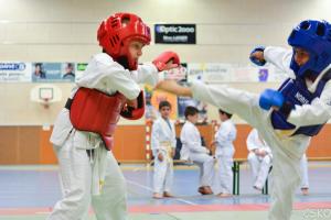 samourai_2013-409.jpg