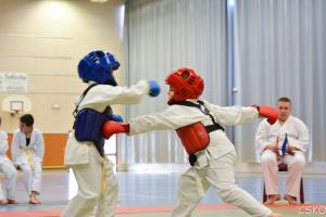 samourai_2013-414.jpg