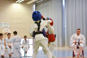 samourai_2013-424.jpg
