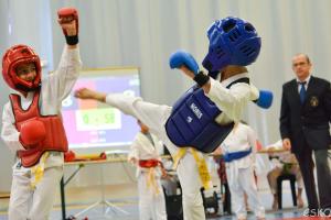 samourai_2013-431.jpg