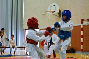 samourai_2013-464.jpg