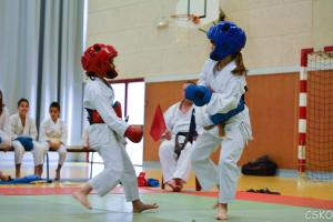 samourai_2013-468.jpg