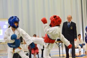 samourai_2013-472.jpg