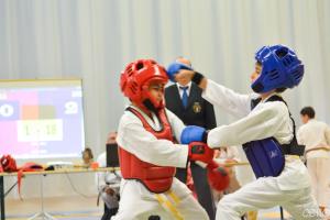 samourai_2013-477.jpg
