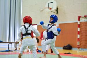 samourai_2013-480.jpg