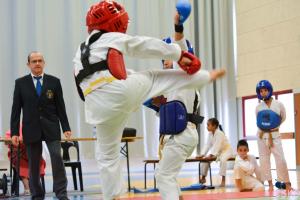 samourai_2013-483.jpg