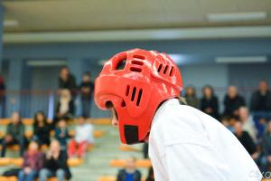 samourai_2013-493.jpg