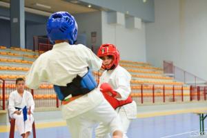 samourai_2013-496.jpg