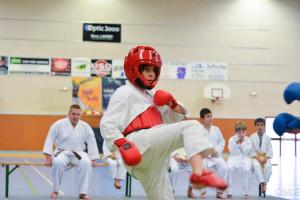 samourai_2013-499.jpg
