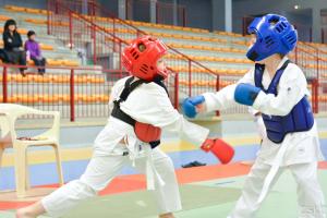 samourai_2013-52.jpg