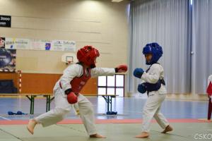 samourai_2013-69.jpg