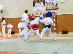 samourai_2013-7.jpg