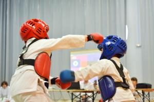 samourai_2013-73.jpg
