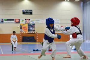 samourai_2013-76.jpg