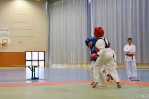 samourai_2013-79.jpg
