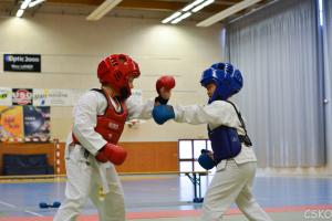 samourai_2013-83.jpg