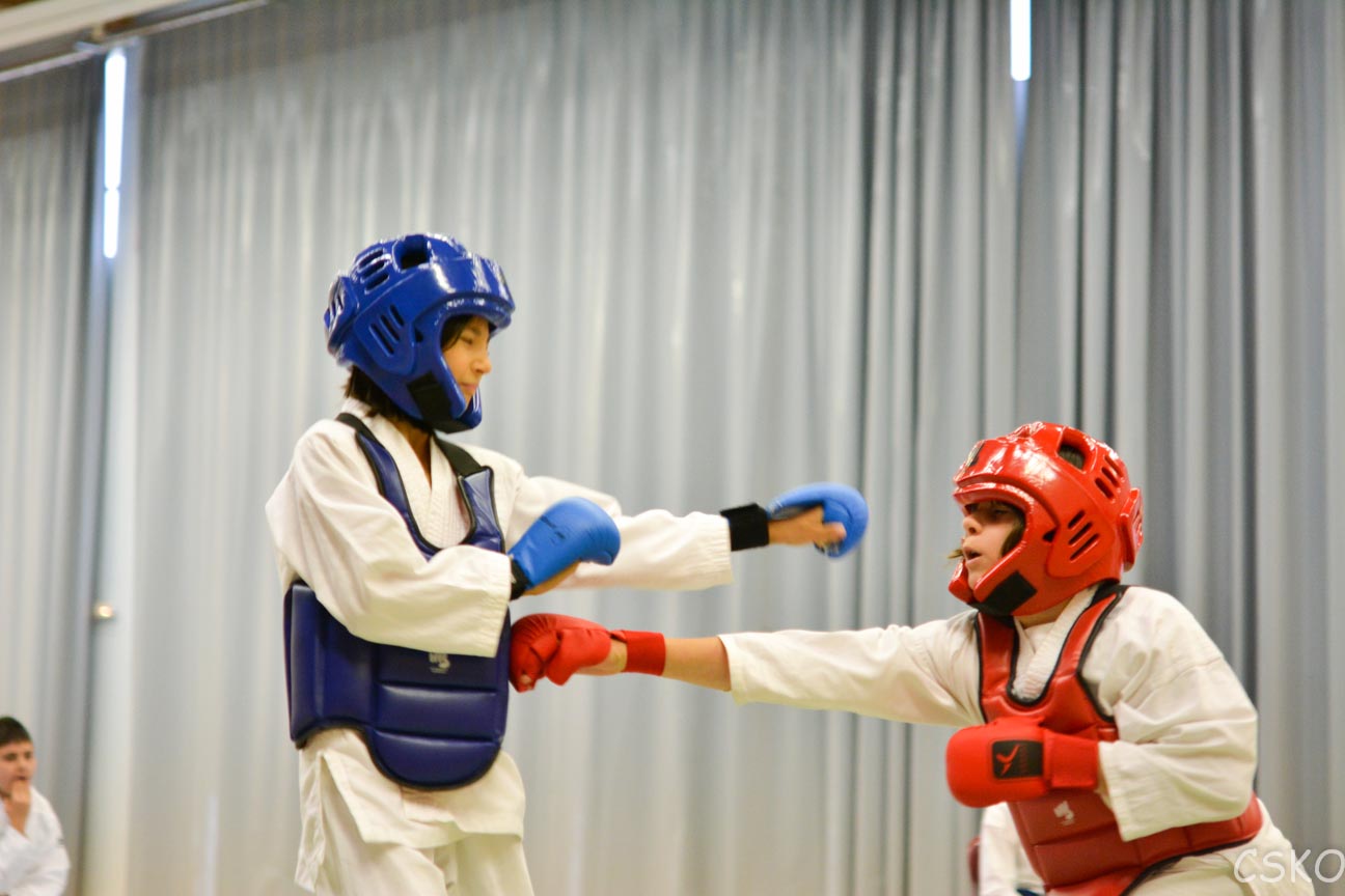 samourai_2013-144.jpg