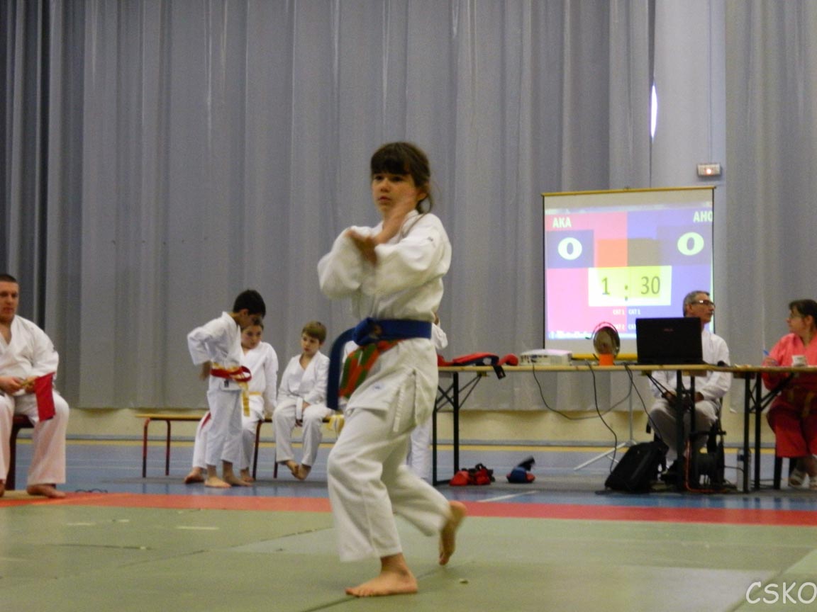 samourai_2013-197.jpg