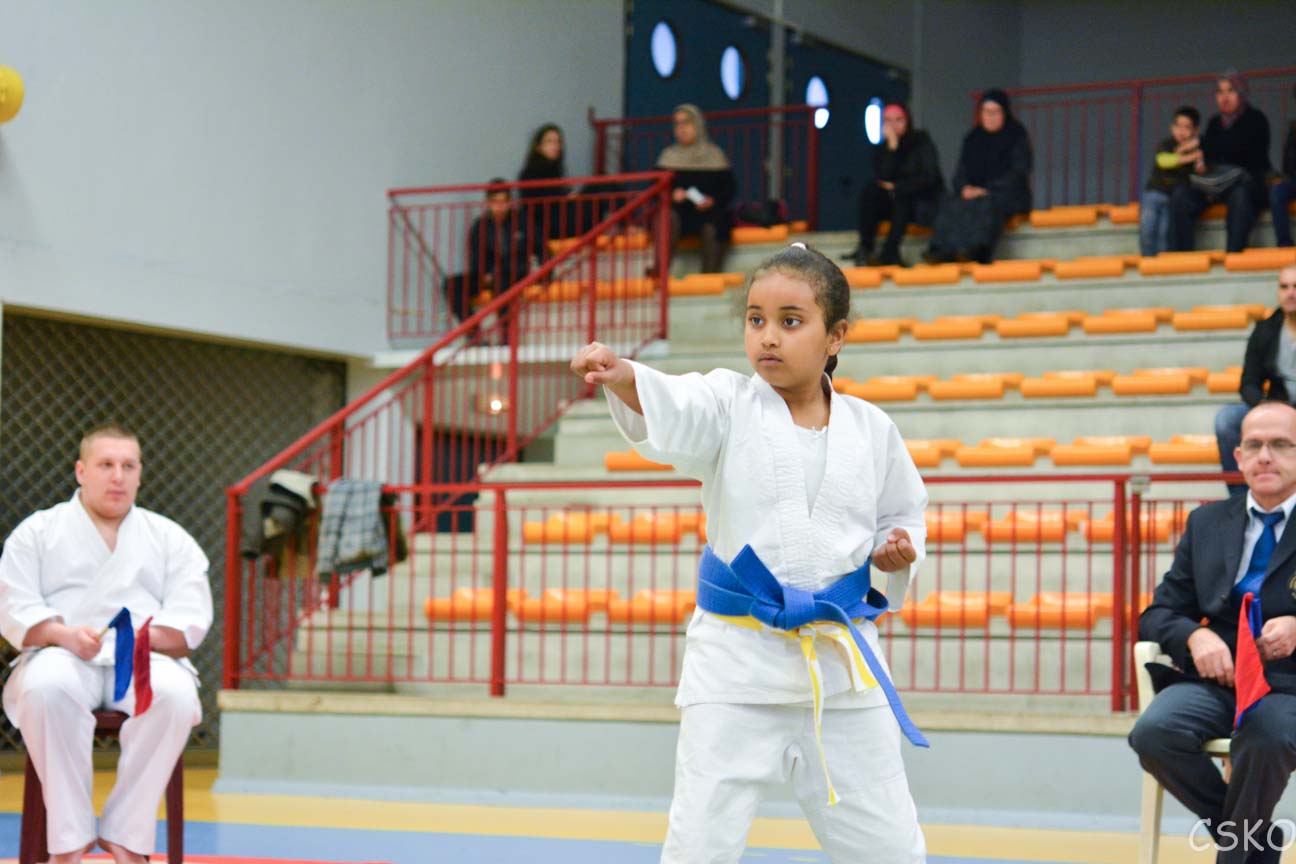samourai_2013-232.jpg