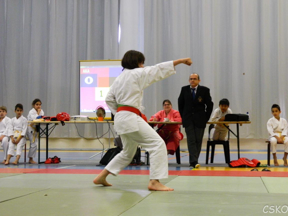 samourai_2013-233.jpg