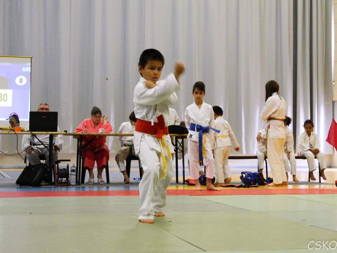 samourai_2013-325.jpg