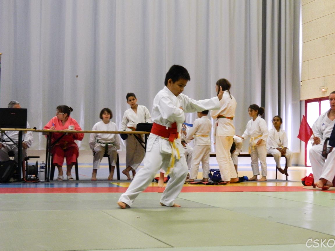 samourai_2013-326.jpg