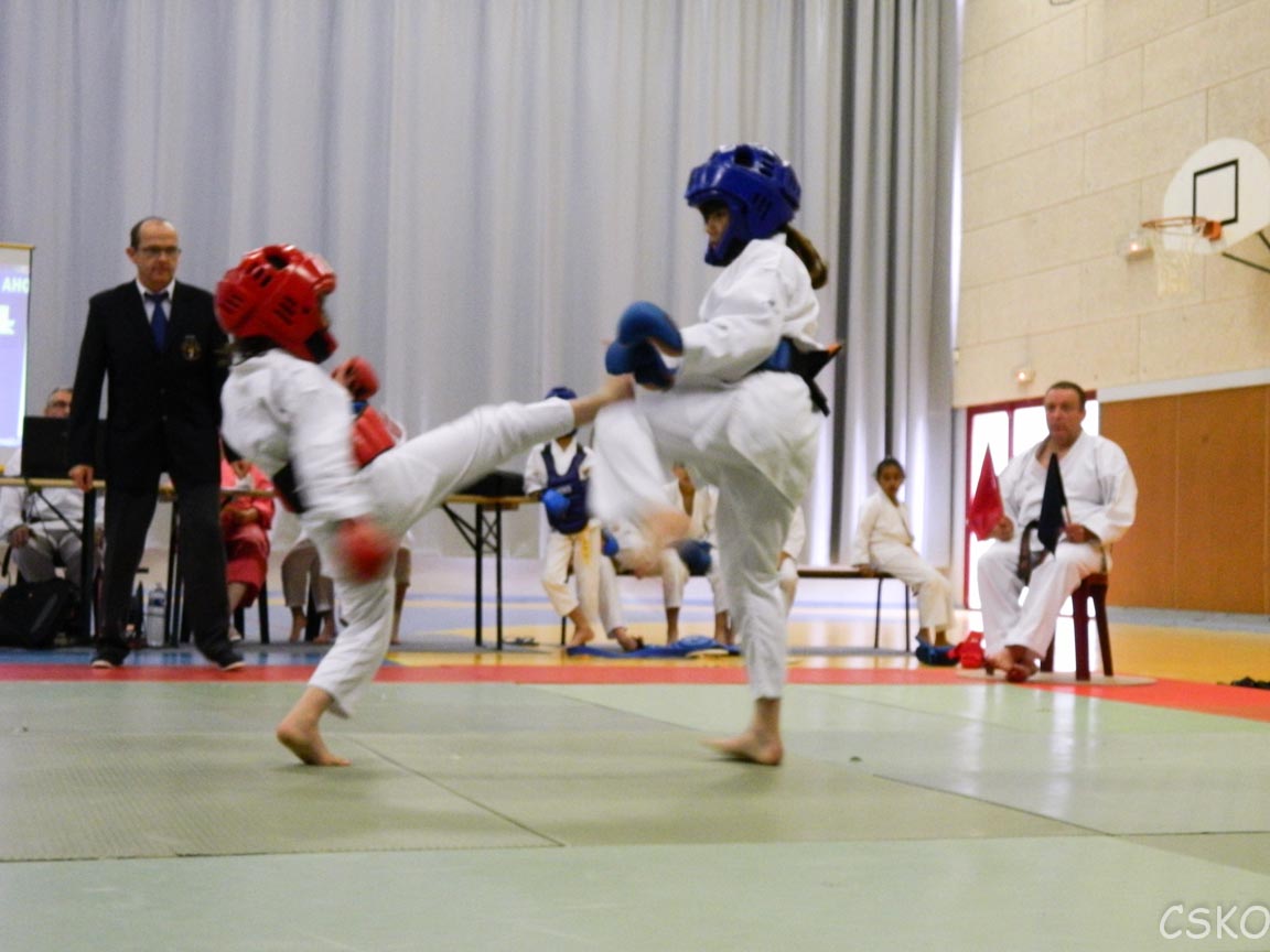 samourai_2013-346.jpg