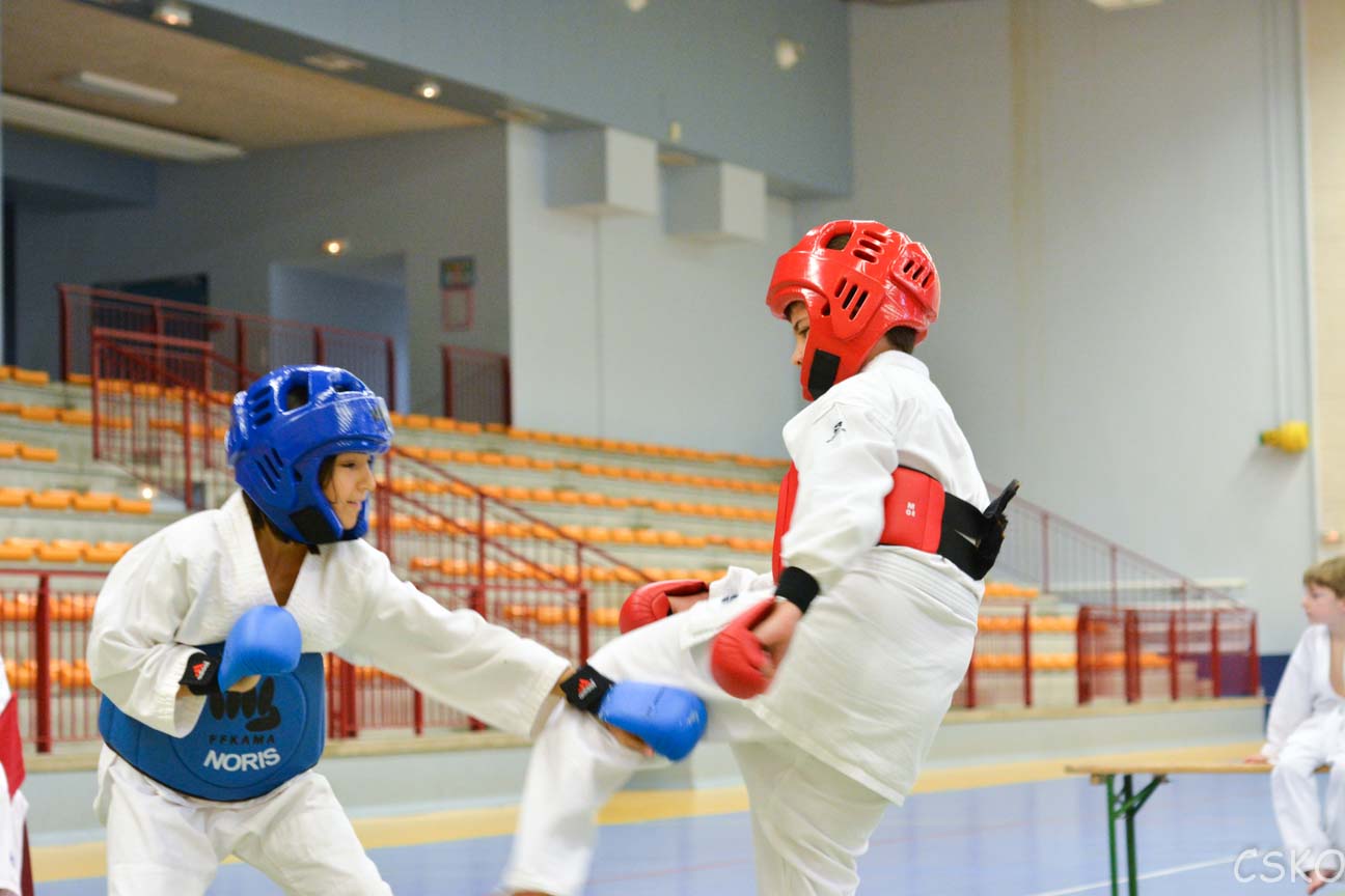 samourai_2013-371.jpg